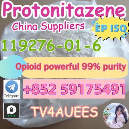 High Quality Protonitazene (hydrochloride) CAS:119276-01-6 99 White Powder 