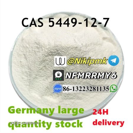 BMK Glycidic Acid (sodium salt) CAS 5449-12-7 99% white powder