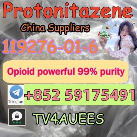 Protonitazene Metonitazene 119276-01-6 14680-51-4 etonitazene 2785346-75-8 