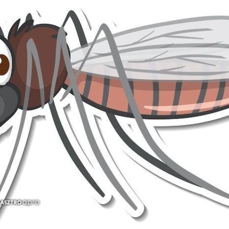 szúnyogirtás, biológiai szúnyoggyérítés, Eu 06209459090