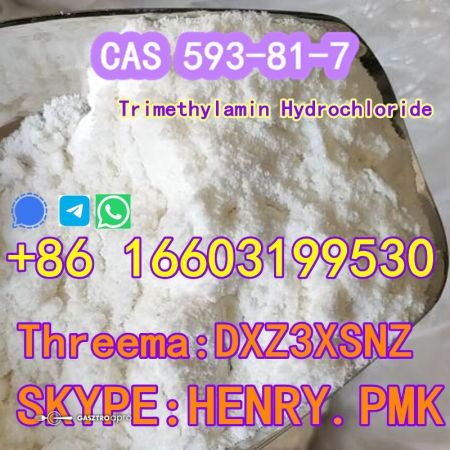 Trimethylamin Hydrochloride CAS 593-81-7 +86 16603199530