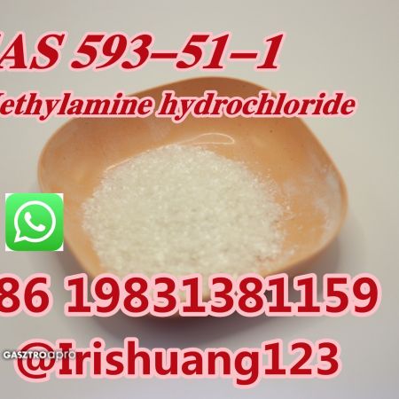 Factory supply CAS 593-51-1 Methylamine hcl safe delivery